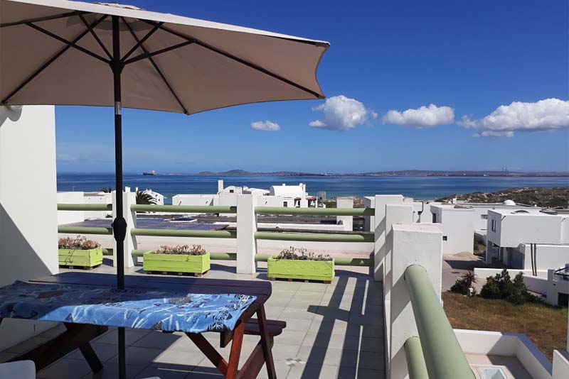 Flamingo views from outside seating area