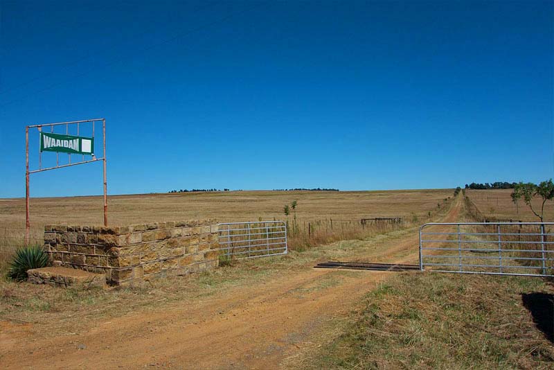 Waaidam Resort - Guest Farm bed and breakfast accommodation near Harrismith