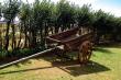 Waaidam Resort - Guest Farm bed and breakfast accommodation near Harrismith