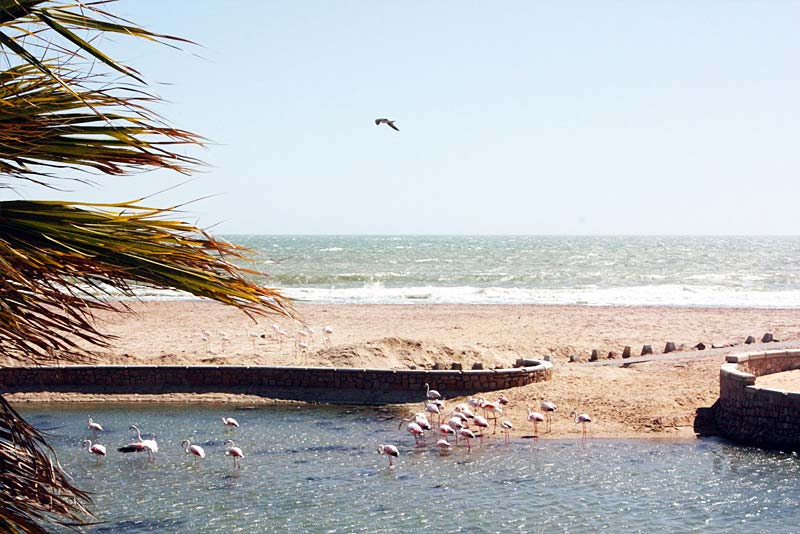 View on water-feature, sea and beach from the deck