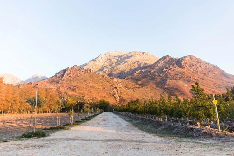 Stunning mountains surround White Bridge Farm self catering Wolseley