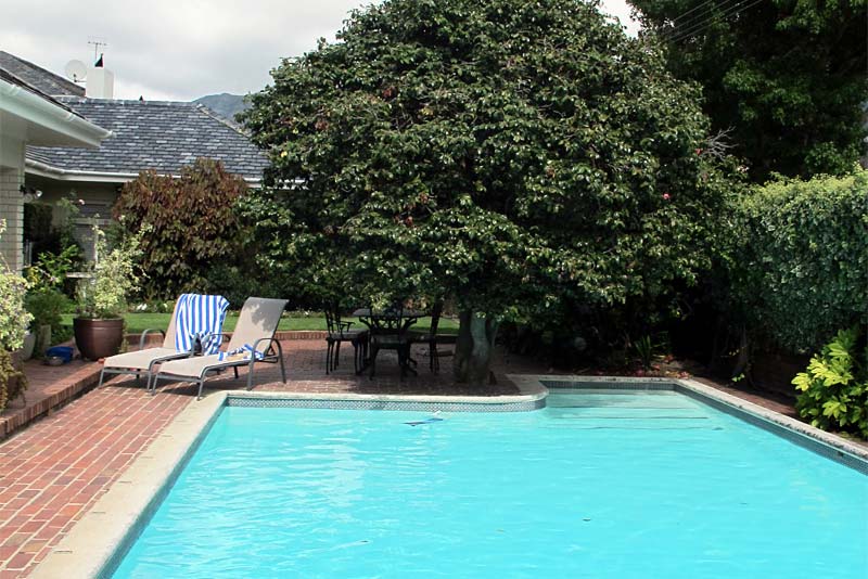 Garden and pool