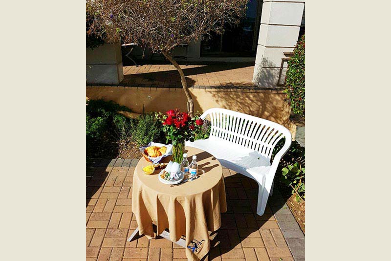 Garden - Seagulls Guest House self catering Langebaan 