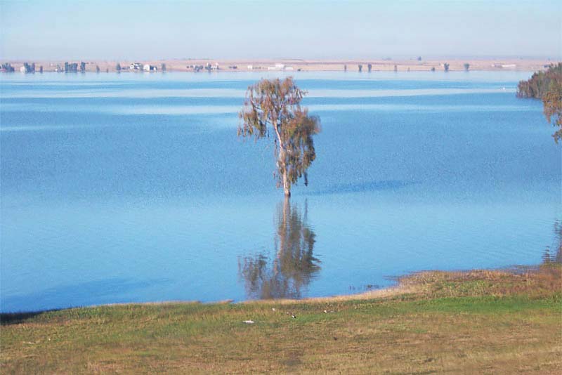 Freedom! The fresh waters of the Vaal, GP's biggest Dam!