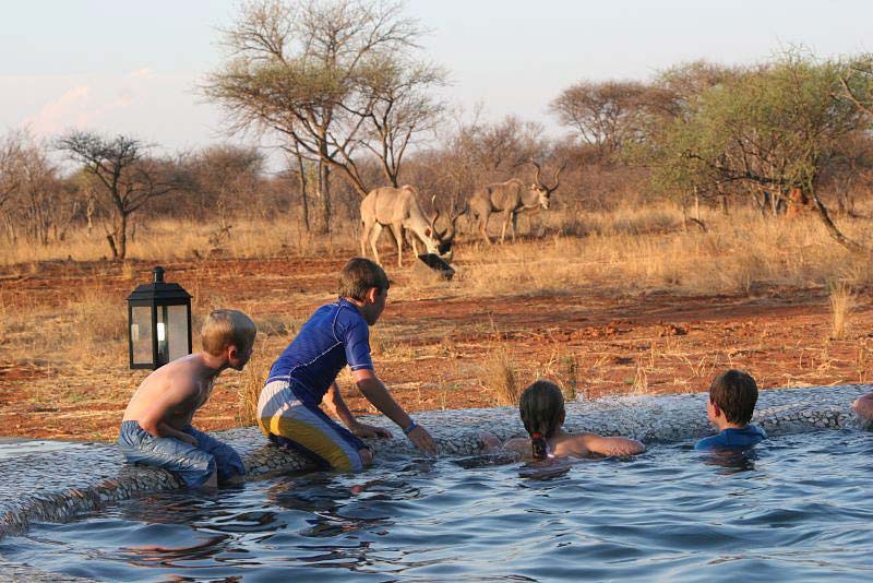 Pool at Retreat