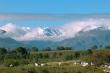 The Milkshed - spacious self catering cottage in Tulbagh