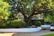 The Milkshed - spacious self catering cottage in Tulbagh