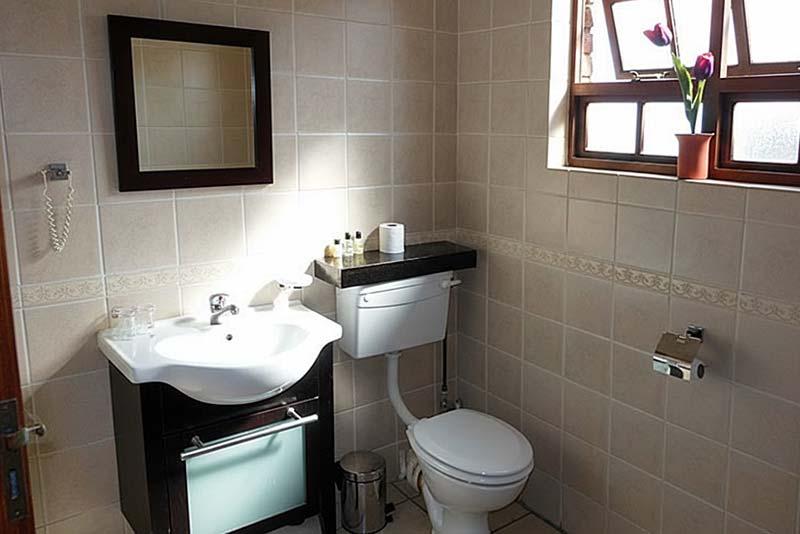 Aloe bathroom - House On York Bed and Breakfast South Kensington