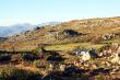 Views Around Protea Cottage