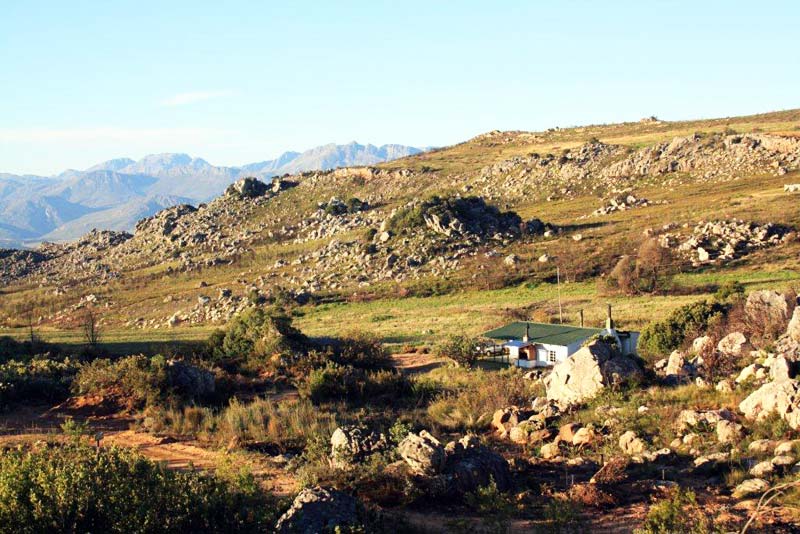 Views Around Protea Cottage