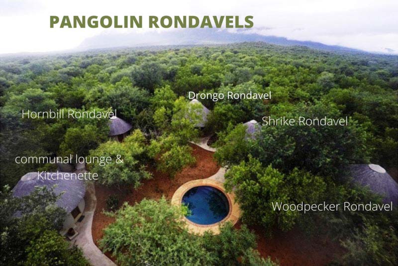 Ariel View - Pangolin Rondavels - Budget Camp