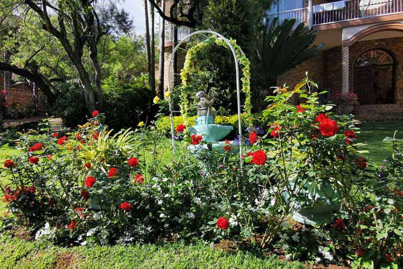 Swan-Lake - Bed and Breakfast in Montana Park, Pretoria 