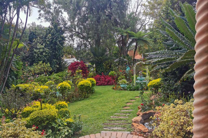 Swan-Lake - Bed and Breakfast in Montana Park, Pretoria 