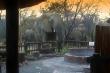Elephants at braai