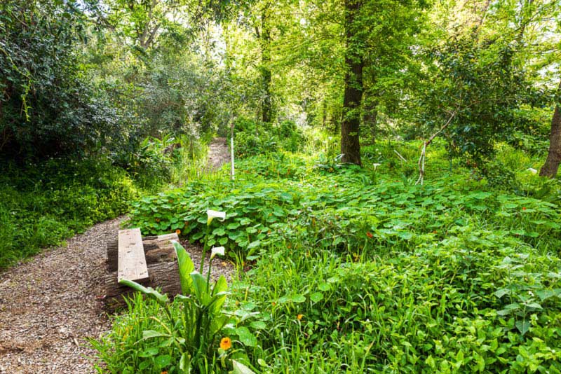 By the river -  Languedoc Farm  - self catering near Stellenbosch