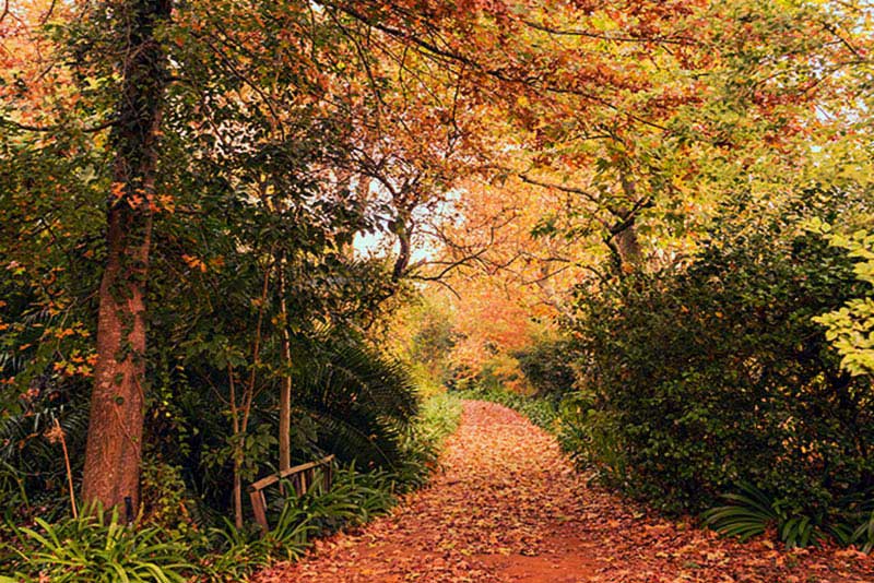 Autumn -  Languedoc Farm  - self catering near Stellenbosch