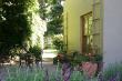 Paddock suite patio - self catering near Stellenbosch