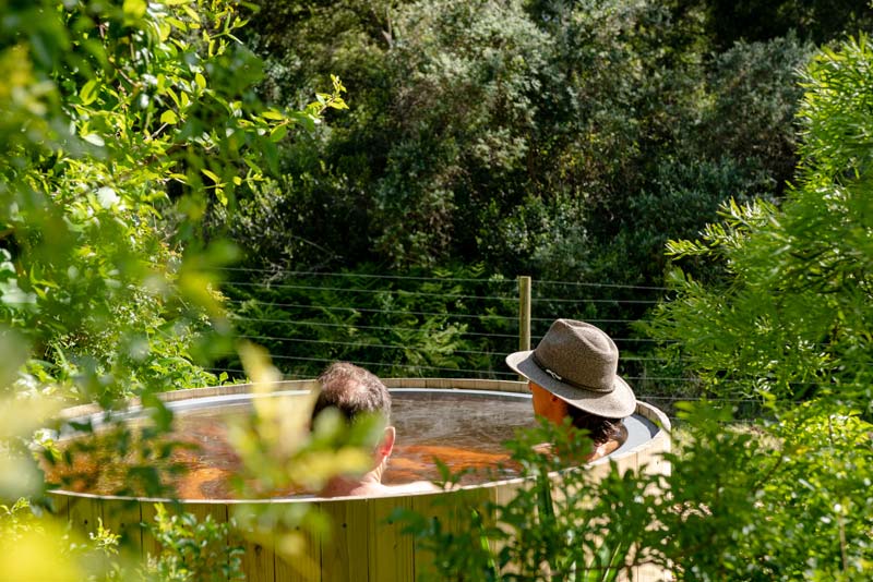 Farm Cottages - Oakhurst Farm Cottages - self catering Wilderness