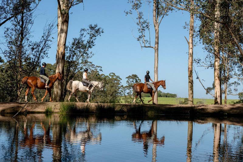 Oakhurst Farm Cottages - self catering Wilderness