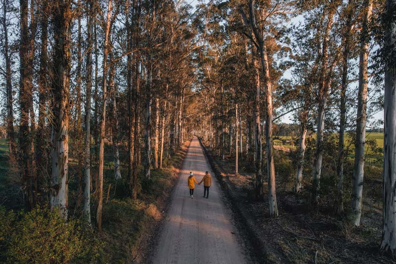 Oakhurst Farm Cottages - self catering Wilderness