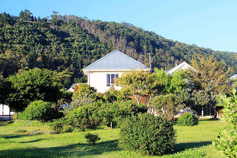 the house