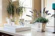 Heuwelsig Cottages - Self Catering in Franschhoek