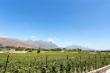 Heuwelsig Cottages - Self Catering in Franschhoek