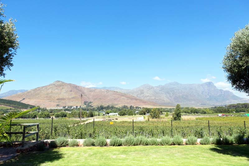 Heuwelsig Cottages - Self Catering in Franschhoek