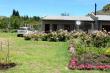 Self Catering Cottage - Clarens
