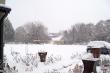 Self Catering Cottage - Clarens