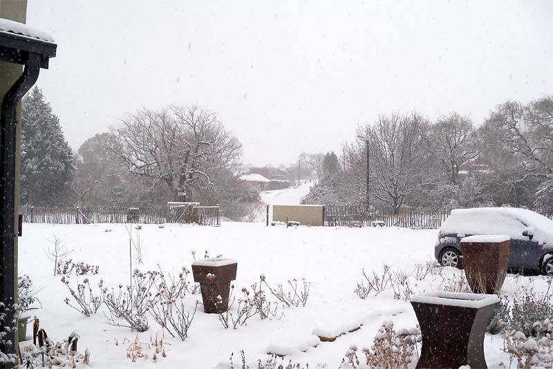 Self Catering Cottage - Clarens