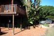 Parking under an old Milkwood tree