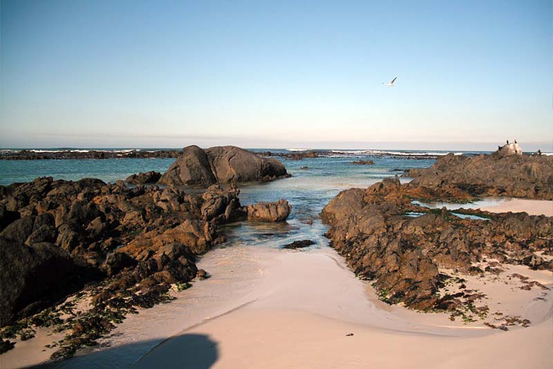 Rock pools in front of house