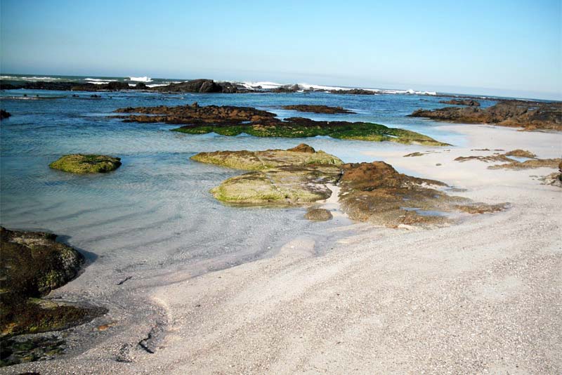 Safe rock pools and children paddle play areas in front on house