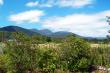 Tsitsikamma Mountains