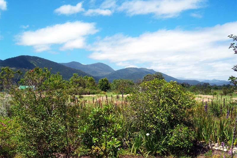 Tsitsikamma Mountains