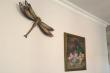Dragonfly!