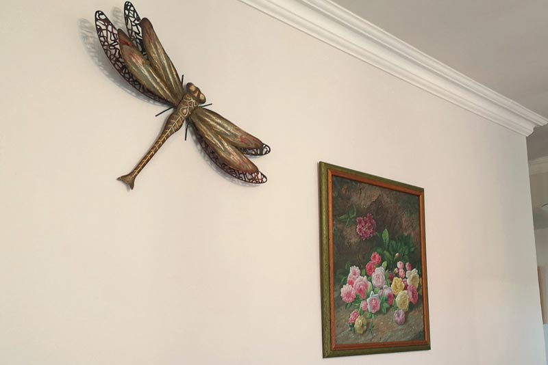 Dragonfly!