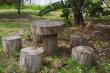 Fairy picnic place