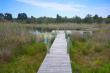 Jetty at 