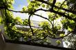 22 Van Wijk Street Tourist Accommodation in Franschhoek