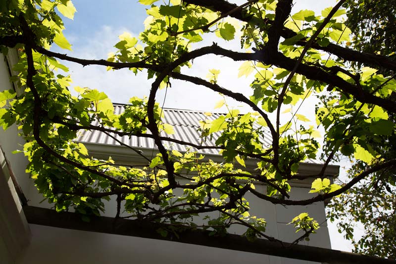 22 Van Wijk Street Tourist Accommodation in Franschhoek