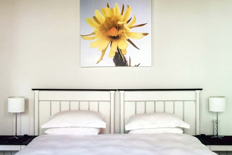 22 Van Wijk Street Tourist Accommodation in Franschhoek