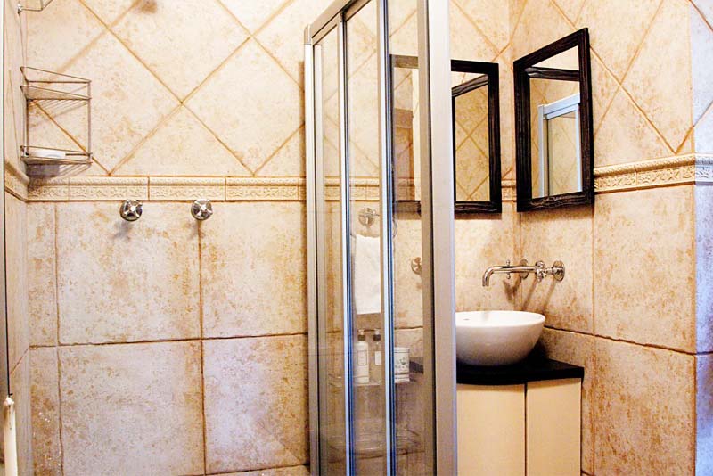 the shower