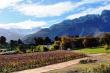 View over farm