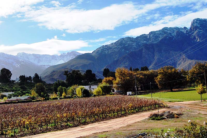 View over farm