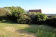 Back yard - Merlon self catering Betty's Bay