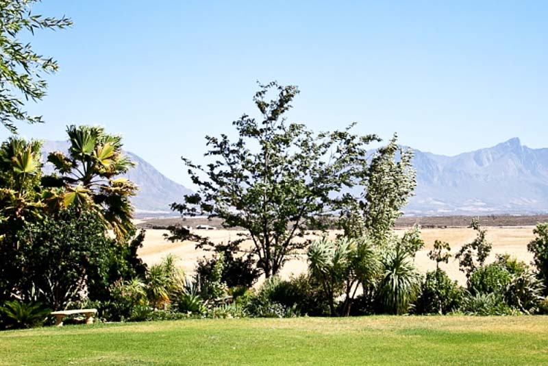 Eikelaan Farm Cottages - self catering guest farm in Tulbagh, Breede River Valley