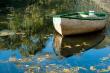 bass fishing & view from cabins