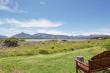 view from garden